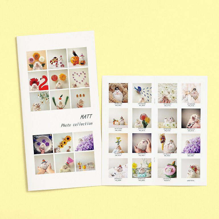 PhotoZINE