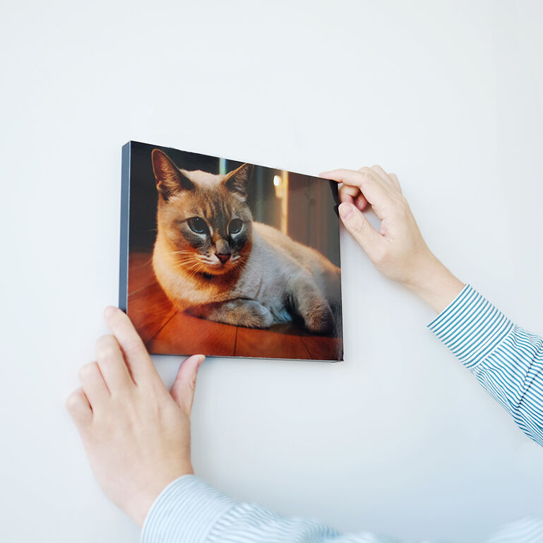 WALL DECOR カジュアル